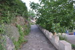 山中小路