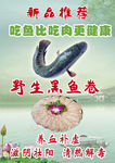 黑鱼卷