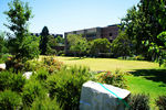 麦考瑞大学校园