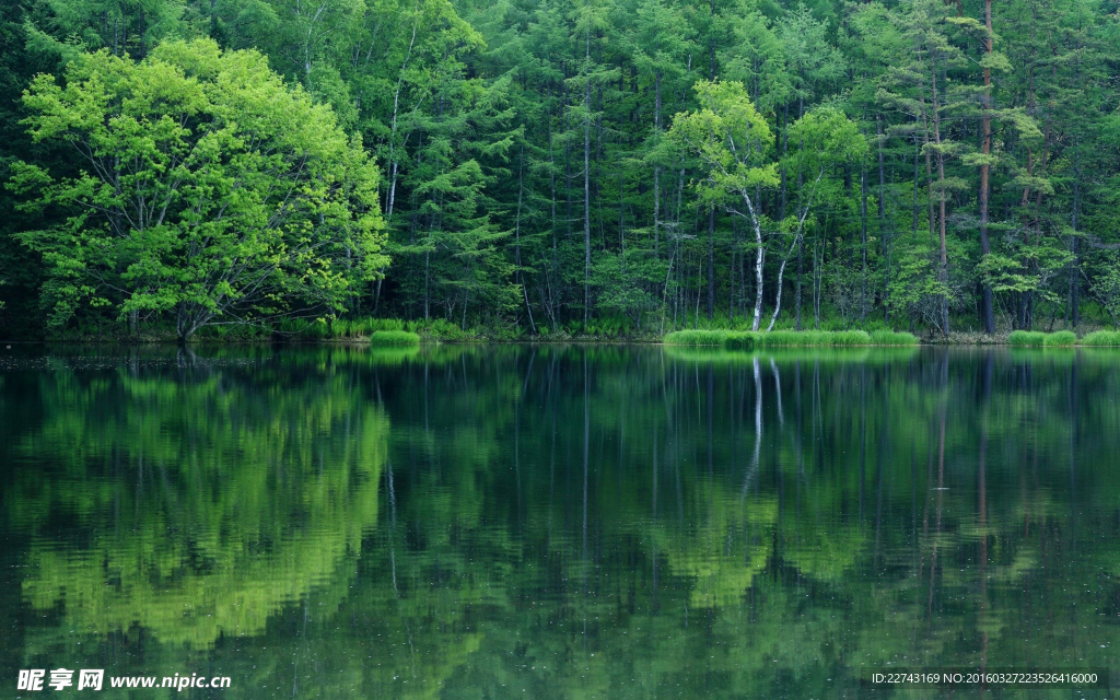 湖边景色