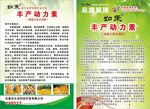 母酒宣传单