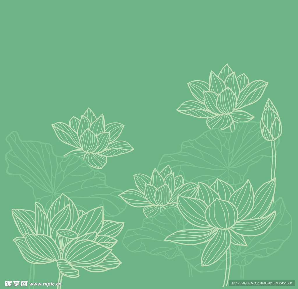 矢量荷花