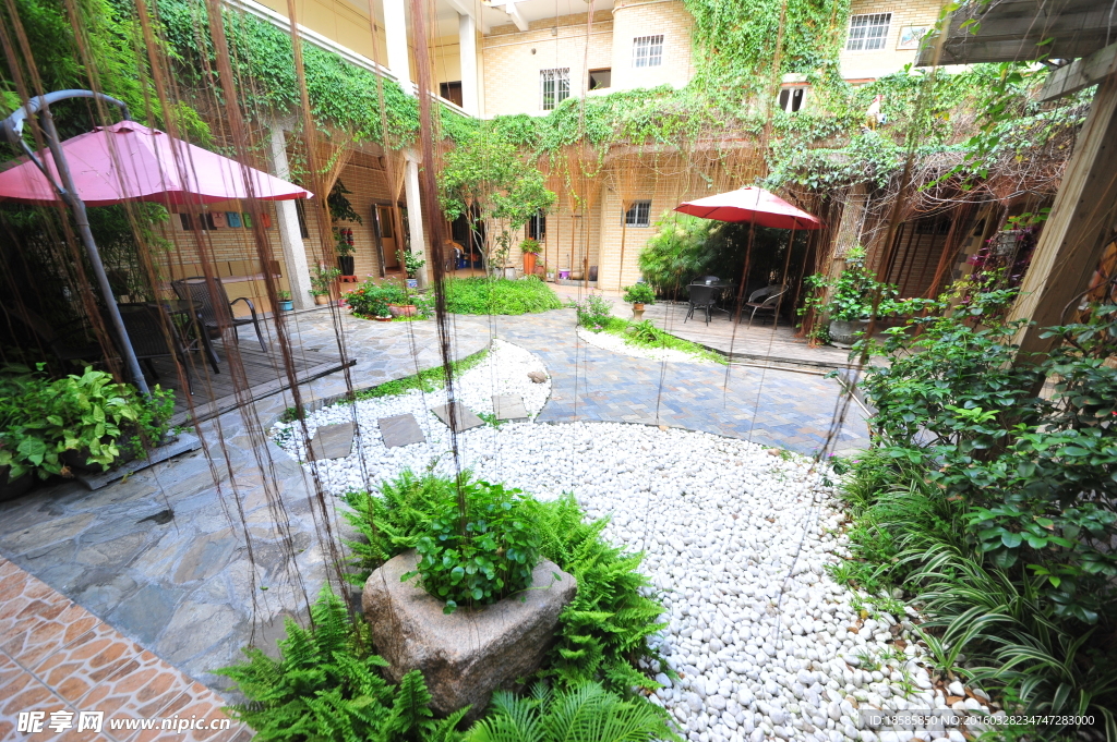 庭院