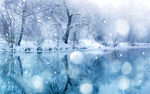 亮丽湖边雪景