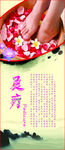 养生