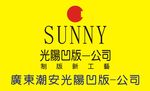 广东潮安光阳凹版公司
