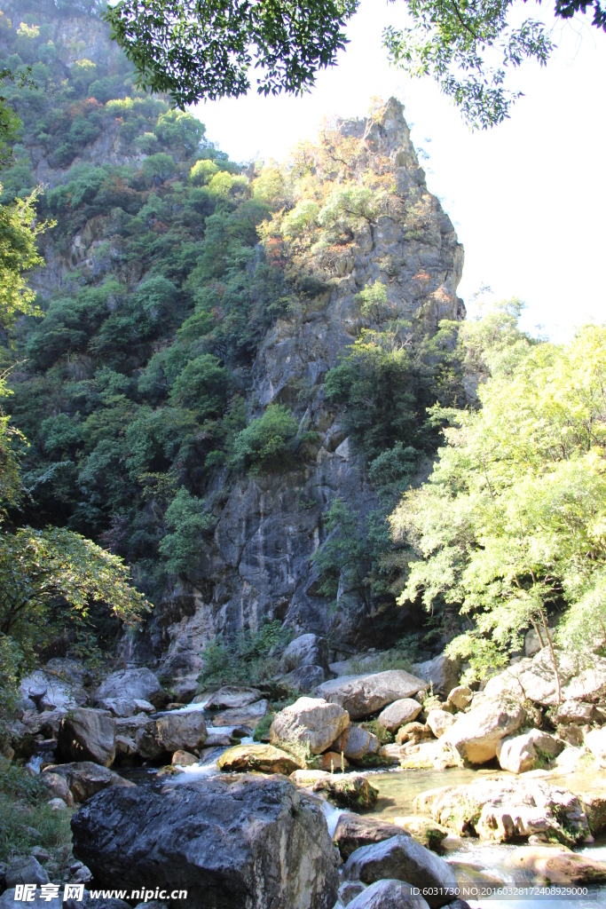 秦岭山