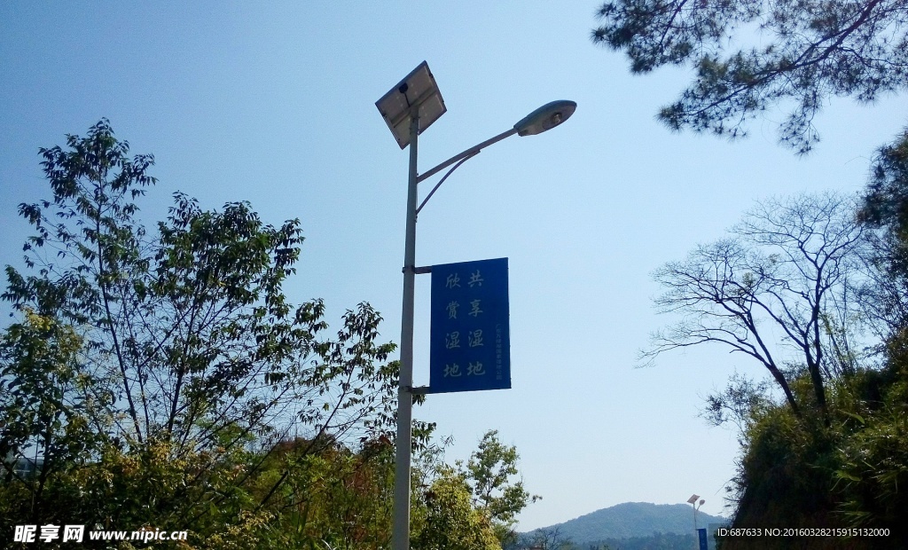 街道路灯