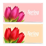 花朵等元素 Banner