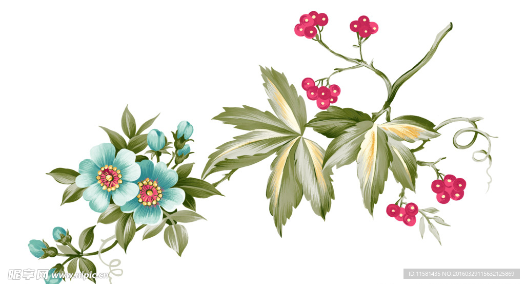 花卉