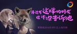 个性banner
