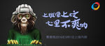 个性banner