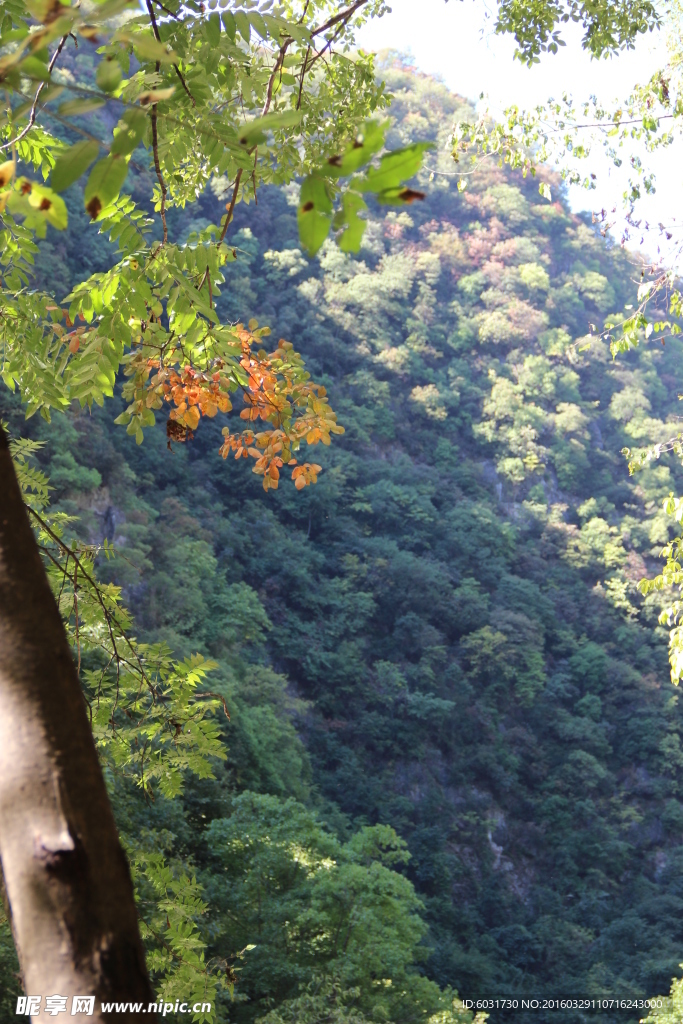 秦岭山