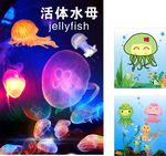 水母 海报