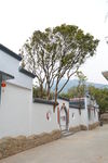 中式 庭院