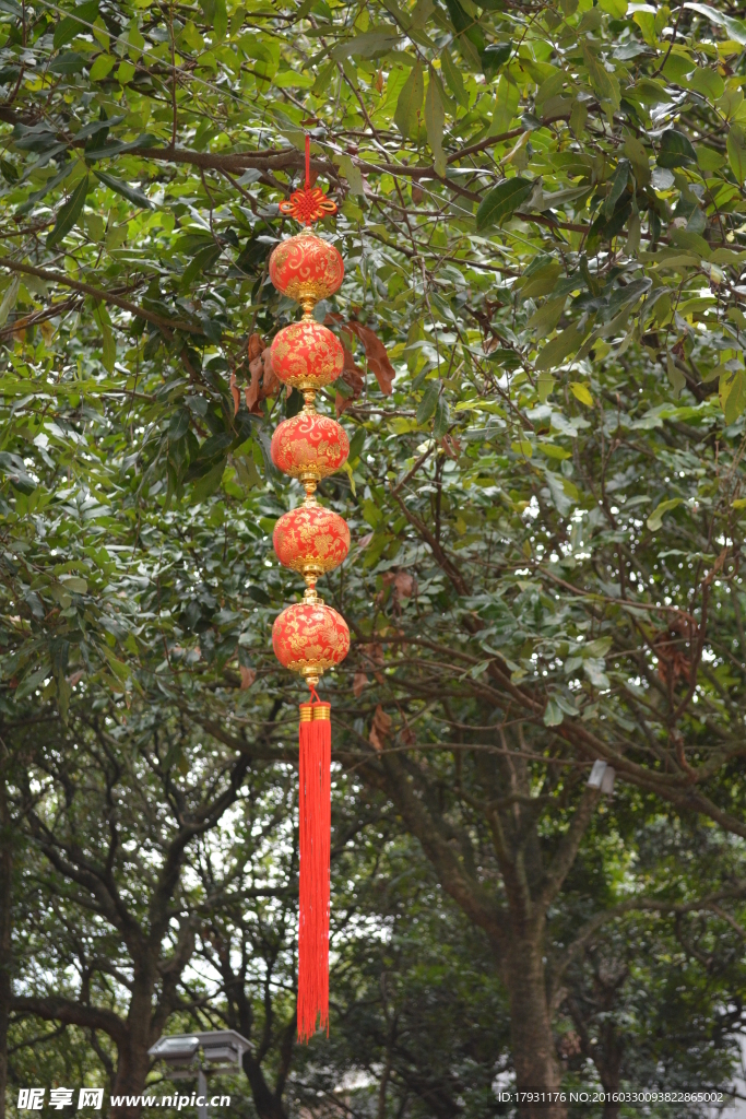 中式龙凤灯笼