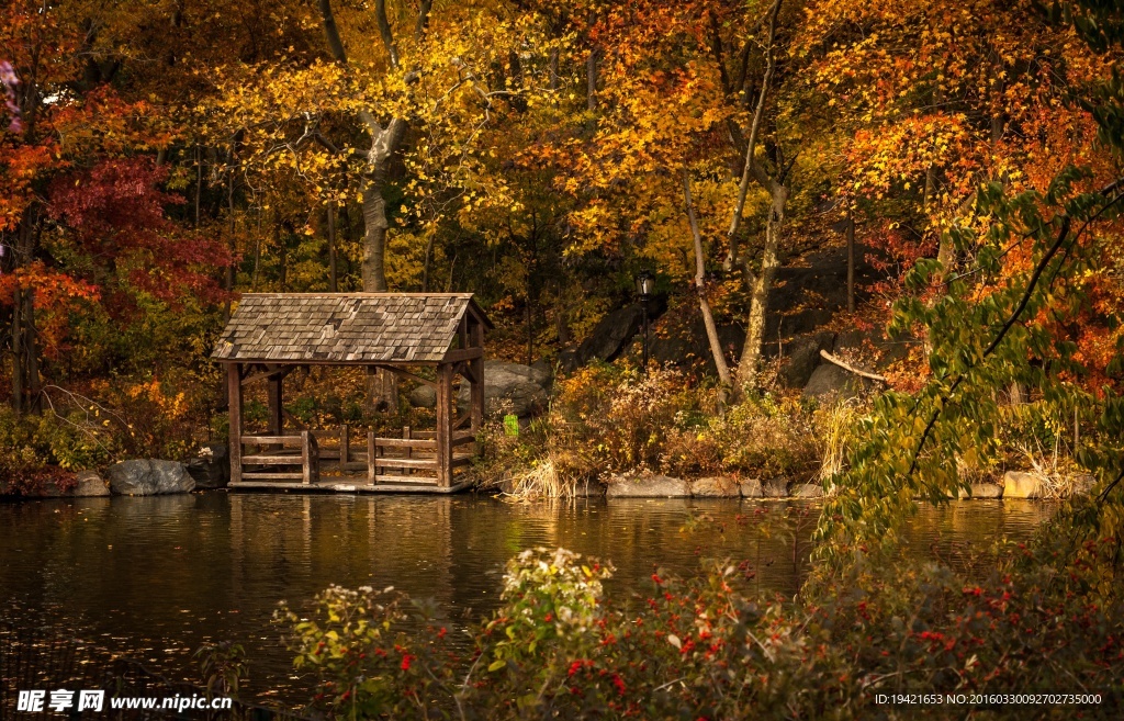 唯美秋景