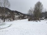 雪乡