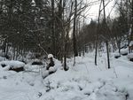 雪乡