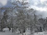雪乡