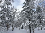 雪乡