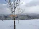 雪乡