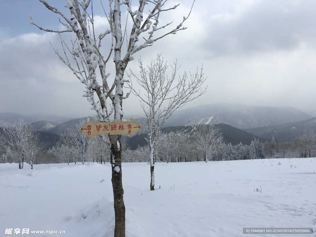 雪乡