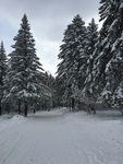 雪乡