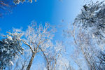 雪乡