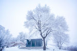 雪乡