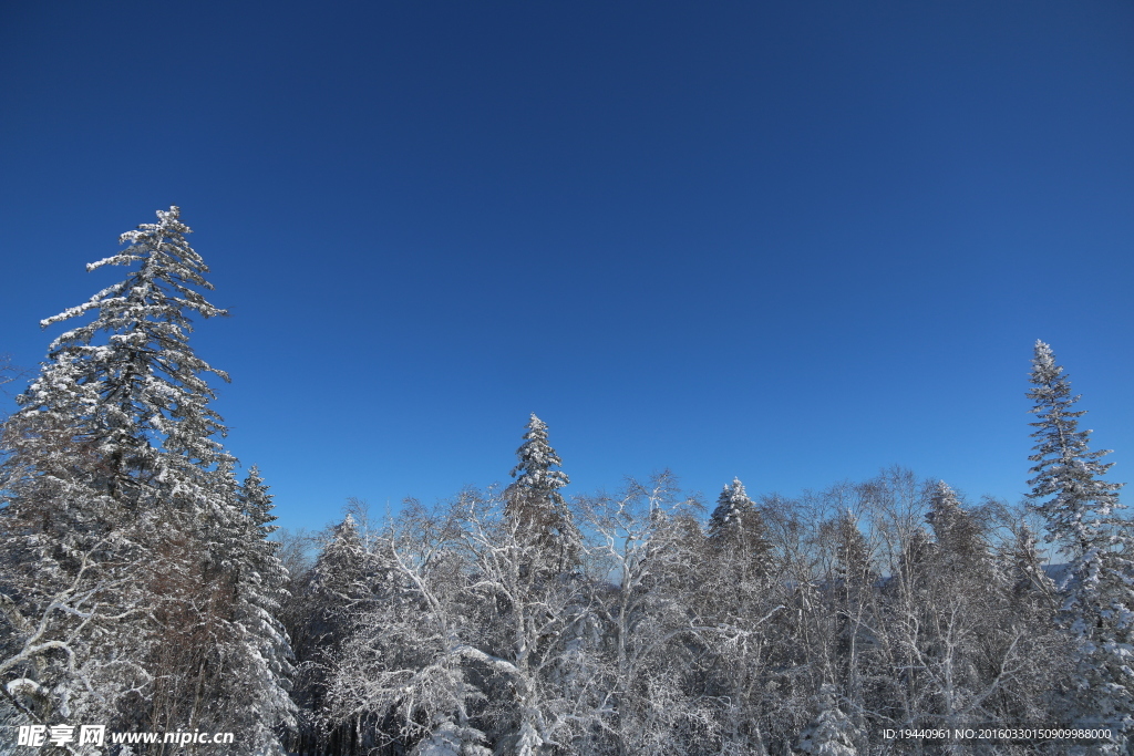 雪乡
