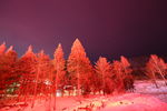 雪乡夜景