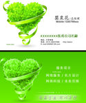绿色医药公司名片