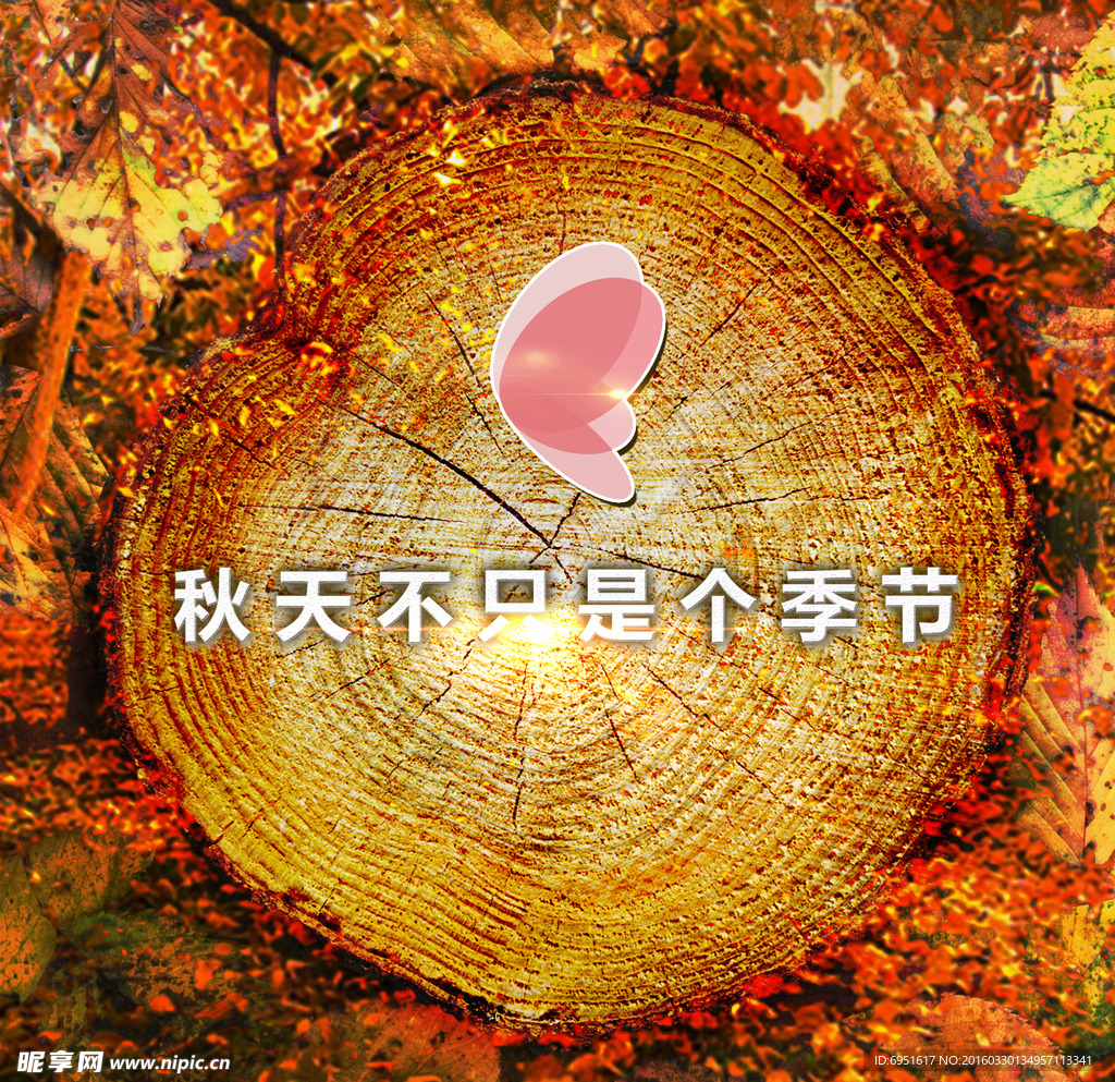 原始秋风年轮