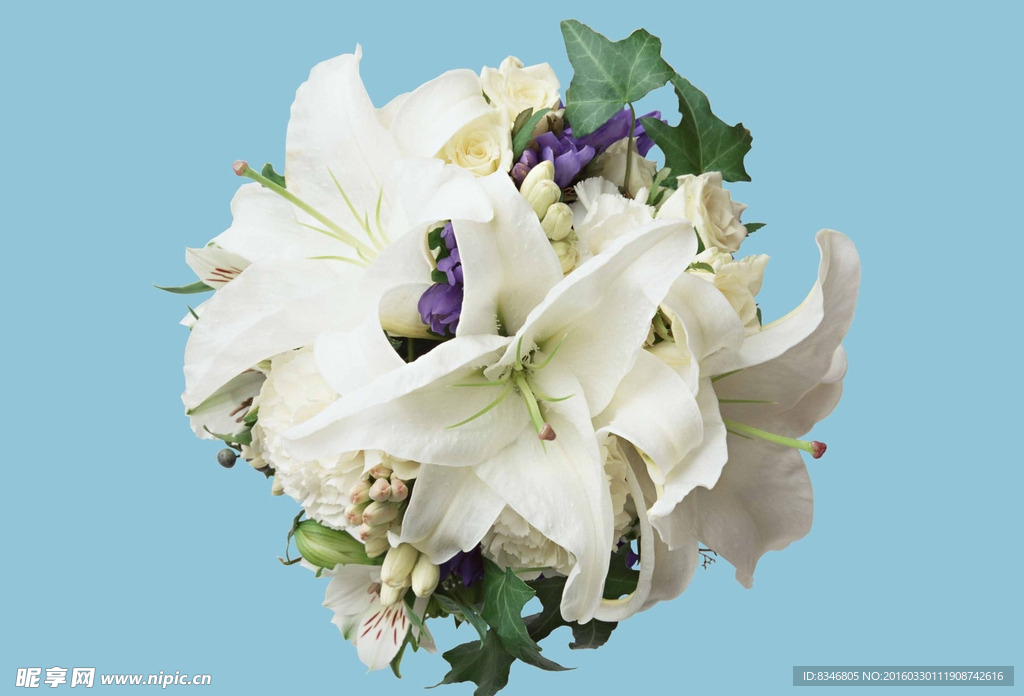 百合花