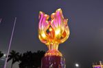 紫金花
