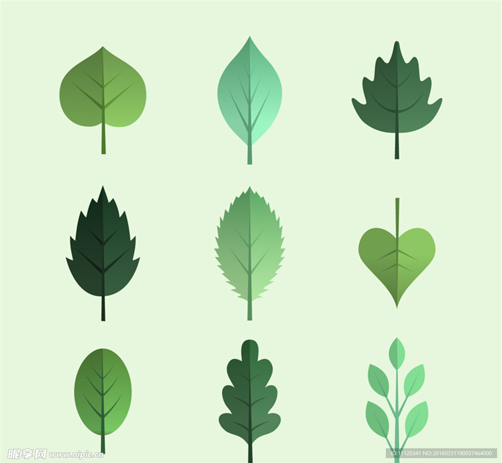 绿色树叶设计矢量素材