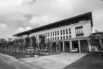 澳门大学
