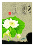 国画效果