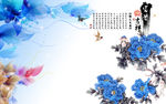 花朵 香 蓝色