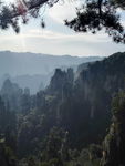 张家界石林风景