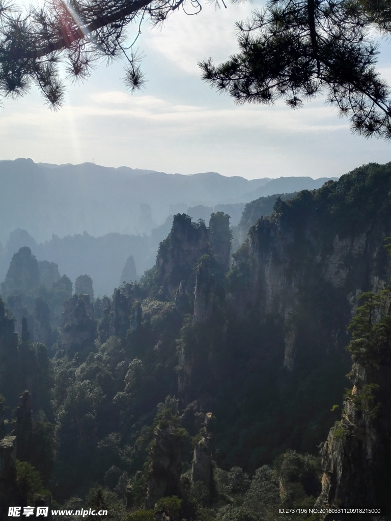 张家界石林风景