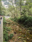武陵源山水风景