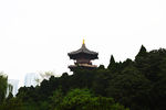塔