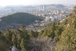 山景城市