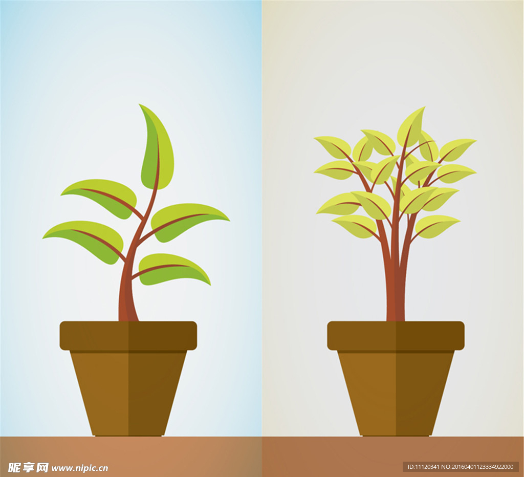盆栽植物矢量素材