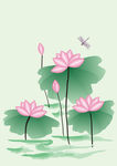 蜻蜓荷花图