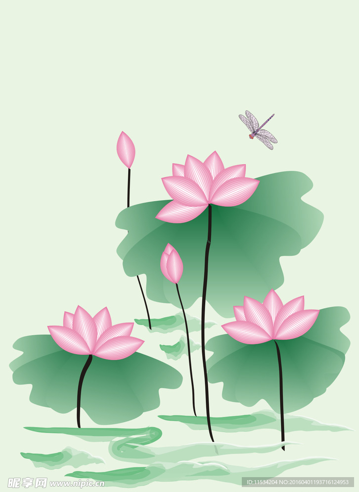 蜻蜓荷花图