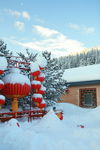 雪乡