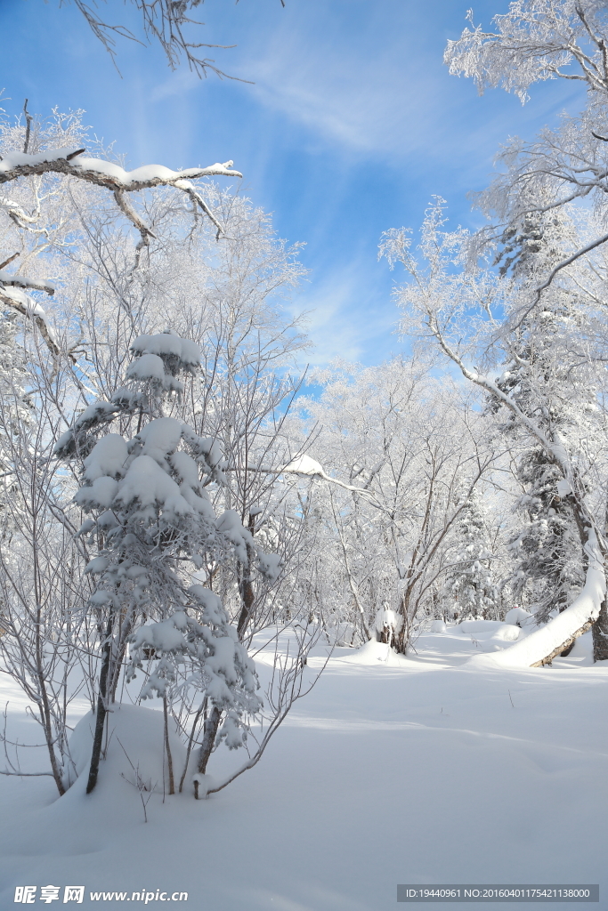 雪乡